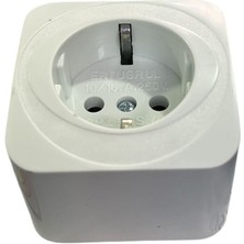 Ertuğrul Ertugrul Sıva Üstü Topraklı Priz