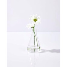 Velora Pelcare Daisy Floral Mist | Lavanta ve Papatya Hidrosolü Içeren Yüz ve Boyun Spreyi (50 ml | 1.7 Oz)