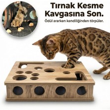 Kedikür™ – Tırnak Törpüleyen Tırmalama ve Oyun Kutusu