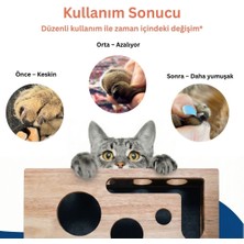 Canlı Saksı Kedikür™ – Tırnak Törpüleyen Tırmalama ve Oyun Kutusu