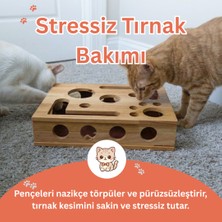 Kedikür™ – Tırnak Törpüleyen Tırmalama ve Oyun Kutusu + Ekstra Yedek Törpü Kağıdı