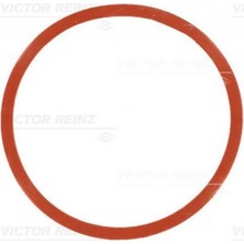 Victor Rei Xmpdby Emme Manifold Contasi Bmw M47 M57 N57N