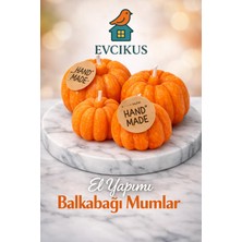 Mumline Evcikuş 4’lü Balkabağı Mum Seti – Kutulu El Yapımı Dekoratif Mini Mum (Hediyelik Özel Tasarım)