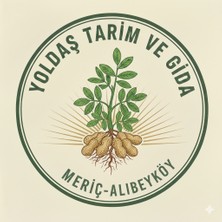 Meriç Alibeyden Fıstık Ezmesi KURABİYESİ250GR