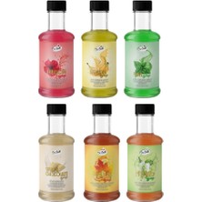 Dr. Gusto 6’lı Kokteyl Şurubu Seti 300 cc (Nane, Muz, Akça Ağaç, Mojito, Hibiskus, Beyaz Çikolata)