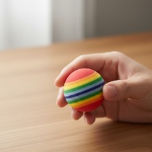 İsmiyle Al Runaway Gökkuşağı Renkli Kedi Köpek Oyun Topu 2’li