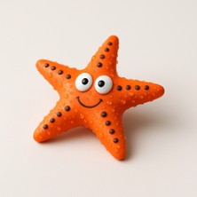 İsmiyle Al Runaway Denizyıldızı Köpek Diş Kaşıyıcı ve Eğitici Oyun Matı