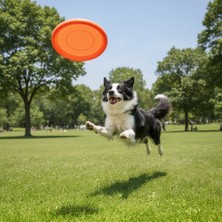 İsmiyle Al Runaway Silikon Köpek Frizbisi ve Taşınabilir Su Kabı