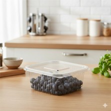 Ta-Fu Global 100 Adet Düz Kapak Plastik Sızdırmaz Kap