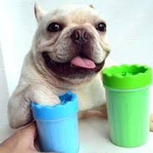 İsmiyle Al Pati Yıkama Aleti Köpek Ayak Temizleme Kabı Pratik ve Hijyenik Yıkama