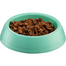 İsmiyle Al Büyük Boy Yuvarlak Kedi Köpek Mama Kabı Dayanıklı Plastik 22CM Runaway
