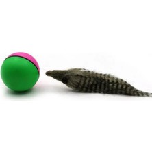 İsmiyle Al Runaway Hareketli Rakun Oyuncak Kedi ve Köpekler Için Eğlence