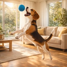 İsmiyle Al Runaway Dikenli Köpek Oyun Topu ve Diş Eti Masaj Aleti