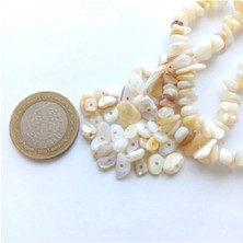 Delikli Sedef Doğal Taş 50 Adet