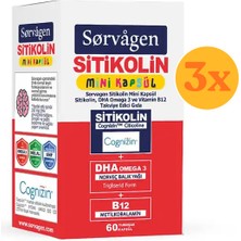 Sorvagen Smart Stikolin Mini Dha Omega 3 ve B12 60 Kapsül - 3 Adet (180 Kapsül)