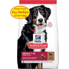 İsmiyle Al Hills Büyük Irk Kuzu Etli Yetişkin Köpek Maması 12+2 kg Hediyeli