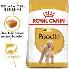 İsmiyle Al Royal Canin Poodle Adult Yetişkin Köpek Maması 3 kg