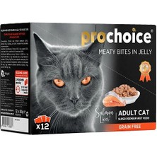 İsmiyle Al Pro Choice Somon ve Cigerli Family Pack Konserve Kedi Maması 1 Adet 12X85 gr