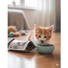 Spelly Yavru Kedi Kuru Maması 300 gr x 3 Pk =900 gr Kıtten ( Tavuklu) Junior