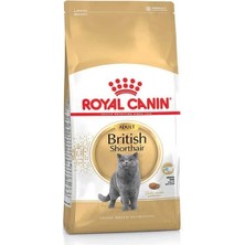 İsmiyle Al Royal Canin British Shorthair Adult Yetişkin Kedi Maması 10 kg