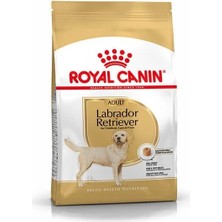 İsmiyle Al Royal Canin Labrador Retriever Yetişkin Köpek Maması 12 kg