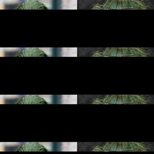 İsmiyle Al Joaquin Phoenix Joker Maskesi Yeşil Saçlı