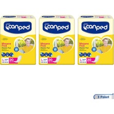 Canped Yoğun Emici Mesane Pedi - Sızmayı Önleyen, 60 Adet, L Beden