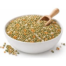 ICL Osmocote Akıllı Gübre Yavaş Salınımlı 9 Ay (500 G)