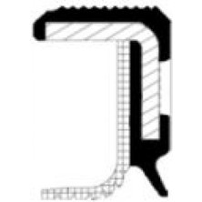CORTECO Matrixzn 20030112B Krank Keçesi Arka Clio-Mgn-Kng 1.5dci