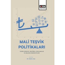 Eğitim Yayınevi Mali Teşvik Politikaları: Teorik Çerçeve, Sektörel Uygulamalar ve Gelecek Perspektifleri