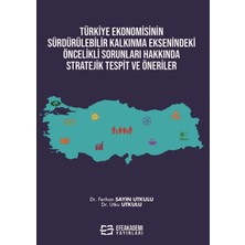 Efe Akademi Yayınları Türkiye Ekonomisinin Sürdürülebilir Kalkınma Eksenindeki Öncelikli Sorunları Hakkında Stratejik Tespit ve Öneriler