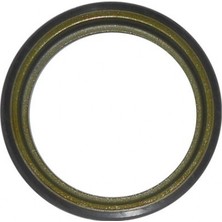 Brucke Matrixzn Abs Okuyucu Halka Arka Sandero Clio Iv