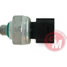 Gua Matrixzn Klima Basinç Müşürü Renault Clio Iv-Megan Iv Dacia