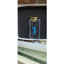 Miina Aksesuar Epoksiden Yapılı Sayılı Anahtarlık