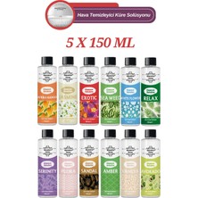 Blackbird Home 5'li Set Hava Temizleme Küresi Solüsyonu , Oda Koku Makinesi Parfümü