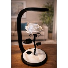 Mira Lamour Atelier Gül Şeklinde Işıklı Lamba