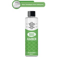 Blackbird Home Amber Koku Esansı Etkili Çok Amaçlı Solüsyon 150 ml Tüm Koku Makinelere Uyumlu Ortam Kokusu
