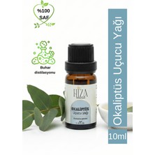 %100 Doğal Okaliptüs Uçucu Yağı 10 ml