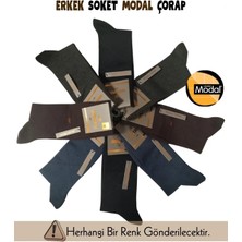 Mısırlı 61005 Erkek Modal Soket Çorap