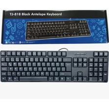 Norino Q USB Siyah Standart Klavye TJ-818