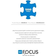 Data Store Blue Focus 1000 Parça Puzzle - Colmar