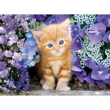 Data Store - 500 Parça Hq Yetişkin Puzzle - Ginger Cat In Flowers
