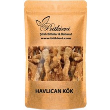 Bitkievi Havlıcan Kök 50GR