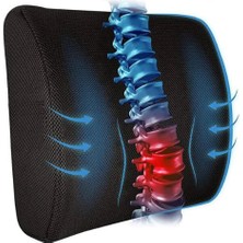 Data Store Eryatex Ortopedik Sırt Bel Minderi Ofis Oturma Minderi Bel Destek Yastığı Sırt Minderi Minderi