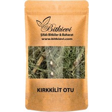 Bitkievi Kırk Kilit Otu At Kuyruğu 50GR