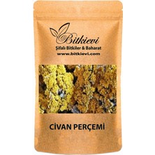 Bitkievi Civan Perçemi 50GR