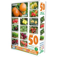 Data Store Resimli Meyve ve Sebze Eğitici Kartları, 50 Kelime Türkçe-Ingilizce, 3+ Yaş, 21,5 x 16 cm
