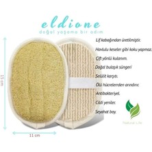 Data Store Oval Kabak Lifi – Çift Taraflı Doğal Banyo Kesesi ve Antibakteriyelli Sağlıklı Bulaşık Lifi Süngeri, 15X11 Cm, Rovin Kumaşlı, Exfoliating Lif Cilt Yenileyici Canlandırıcı Etki, Selülit Karşıtı