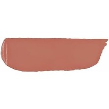 Data Store Ruj -  Passion Matte Lipstick - 341 Orange Ochre