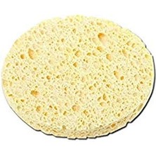 Data Store Selüloz Yüz Temizleme Süngeri 21